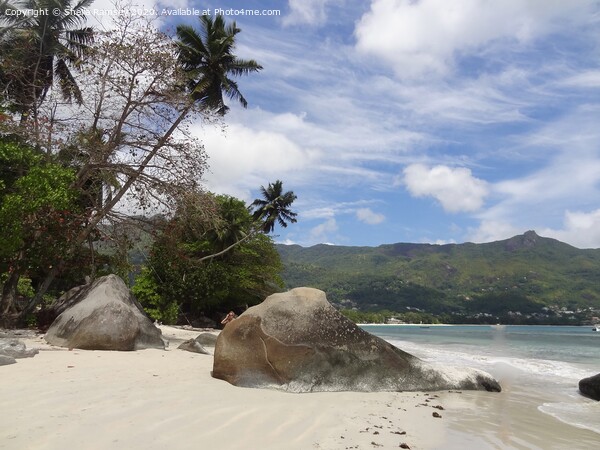 Beach view Seychelles Picture Board by Sheila Ramsey