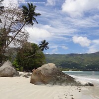Buy canvas prints of Beach view Seychelles by Sheila Ramsey