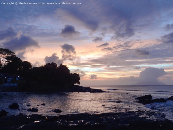 Sunset at Beau Vallon Seychelles Picture Board by Sheila Ramsey