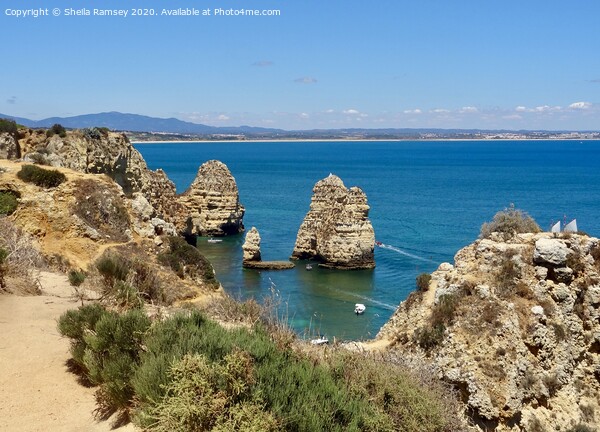 Coastal view The Algarve Portugal Picture Board by Sheila Ramsey