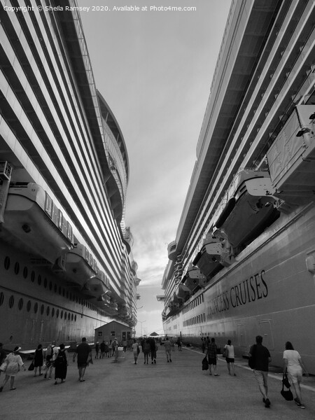 Ships in perspective mono Picture Board by Sheila Ramsey