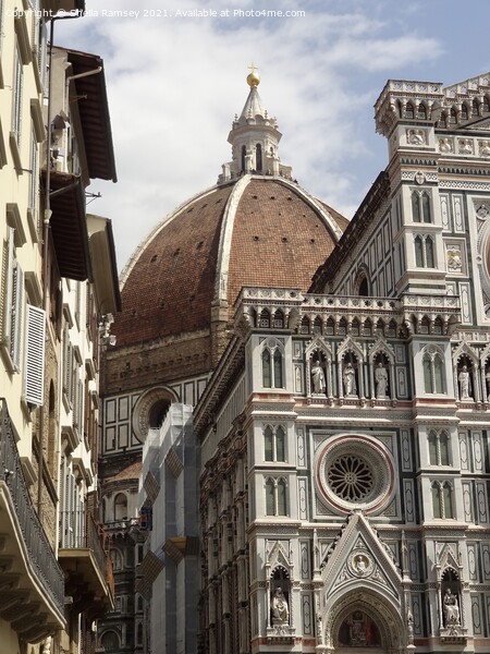 The Duomo Florence Italy Picture Board by Sheila Ramsey