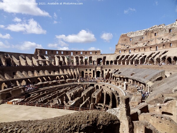 Inside the Colosseum Rome Picture Board by Sheila Ramsey