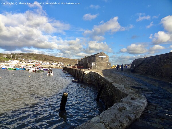 The Cobb Lyme Regis  Picture Board by Sheila Ramsey