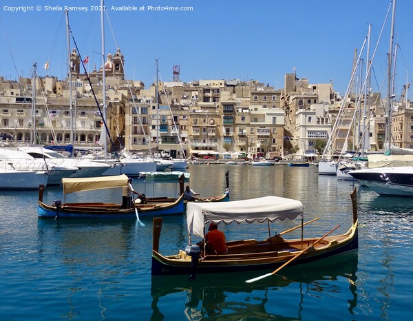 Vittoriosa Harbour Malta Picture Board by Sheila Ramsey