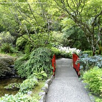 Buy canvas prints of Japanese bridge Butchart Gardens by Sheila Ramsey