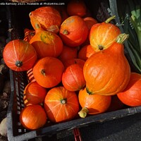 Buy canvas prints of French market vegetables  by Sheila Ramsey