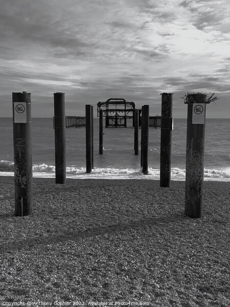Brighton in black and white Picture Board by Anthony Goehler