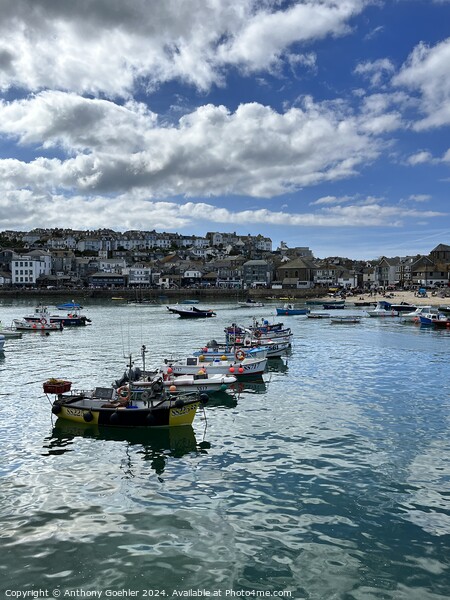 St Ives harbour Picture Board by Anthony Goehler