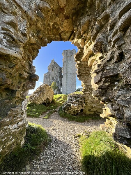 Corfe Castle Picture Board by Anthony Goehler