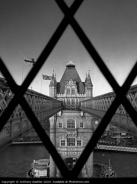 Tower bridge through a window  Picture Board by Anthony Goehler