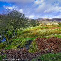 Buy canvas prints of Padley Gorge by Stephen Hollin
