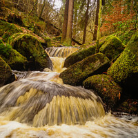 Buy canvas prints of Enchanting Waterfall in a Forest by Stephen Hollin