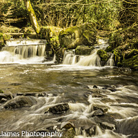 Buy canvas prints of River Rivelin by Stephen Hollin