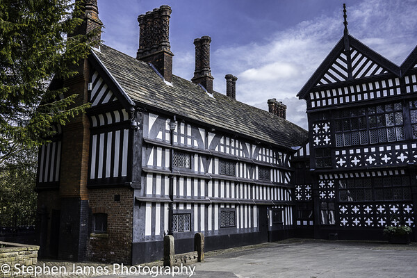 A Timeless Tudor Scene Picture Board by Stephen Hollin