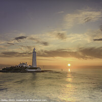 Buy canvas prints of Summer Solstice at Northumbria by Stephen Bailey