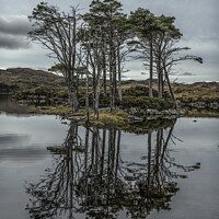 Buy canvas prints of Loch Assynt Island Trees by Stephen Bailey