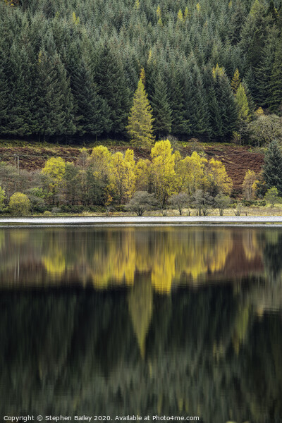 Autumn Reflections Picture Board by Stephen Bailey