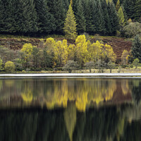 Buy canvas prints of Autumn Reflections by Stephen Bailey