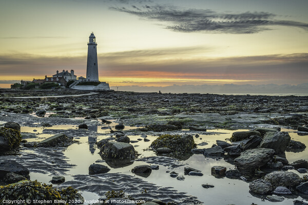 St. Mary's Lighthouse Sunrise Picture Board by Stephen Bailey
