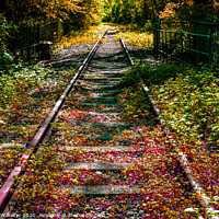 Buy canvas prints of Abandoned Railway Line  by Michael W Salter