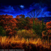 Buy canvas prints of Autumn By Moonlight by Michael W Salter