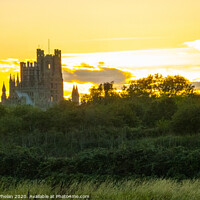 Buy canvas prints of Ely Cathedral at Sunset by Alison Whelan