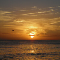 Buy canvas prints of Sunset at sea in Bayahibe in Dominican Republic be by Karen Noble