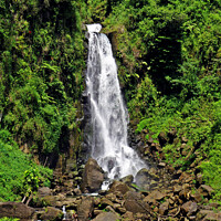 Buy canvas prints of Trafalgar falls waterfall in Dominica, a tiny unsp by Karen Noble