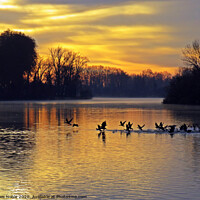 Buy canvas prints of Morning sunrise flight on river Tarn in France. Co by Karen Noble
