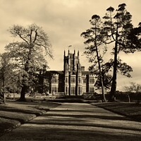 Buy canvas prints of Margam Park, Port Talbot by Rhodri Phillips