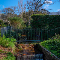 Buy canvas prints of Alphen Trail, Constantia, South Africa by Rika Hodgson