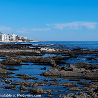 Buy canvas prints of Seascape, Green Point, Cape Town, South Africa  by Rika Hodgson