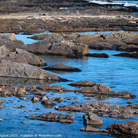 Buy canvas prints of Rocks, Green Point, Cape Town, South Africa  by Rika Hodgson