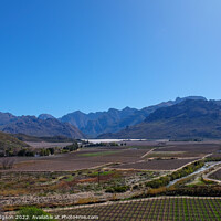 Buy canvas prints of Hex River Valley, South Africa, Landscape by Rika Hodgson