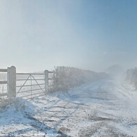 Buy canvas prints of Snowy winds, Horsedowns, Cornwall by Rika Hodgson