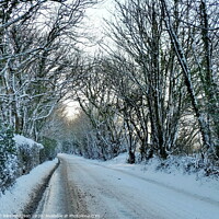 Buy canvas prints of Frozen Praze Road, Leedstown, Cornwall by Rika Hodgson