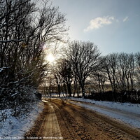 Buy canvas prints of Golden Road, Leedstown, Cornwall by Rika Hodgson