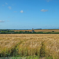 Buy canvas prints of Wheat Fields, Goldsithney, West Cornwall by Rika Hodgson