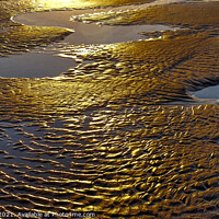 Buy canvas prints of Golden ripple patterns, Gwithian beach, Hayle, Eng by Rika Hodgson