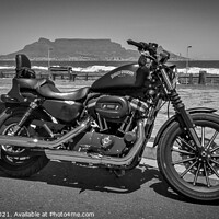 Buy canvas prints of Black Sportster Iron, Cape Town, South Africa by Rika Hodgson
