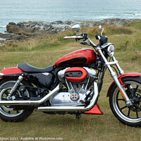 Buy canvas prints of Harley Davidson 883 Superlow by Rika Hodgson
