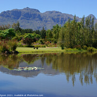 Buy canvas prints of Reflection in water, Franschhoek Mountains, South Africa by Rika Hodgson