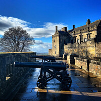 Buy canvas prints of Stirling Castle by David Bennett