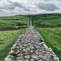 Buy canvas prints of Hadrians Wall by David Bennett