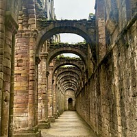 Buy canvas prints of Fountains Abbey Yorkshire by David Bennett