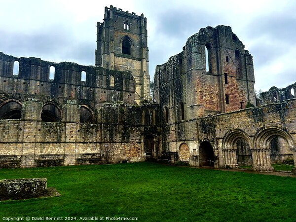 Yorkshire Fountains Abbey  Picture Board by David Bennett