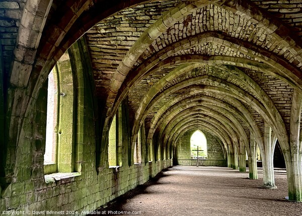 Yorkshire Fountains Abbey Arch Picture Board by David Bennett