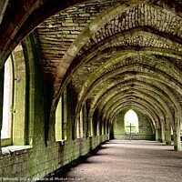 Buy canvas prints of Yorkshire Fountains Abbey Arch by David Bennett
