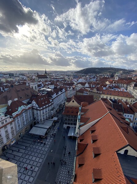 Beautiful Prague Rooftops Picture Board by David Bennett